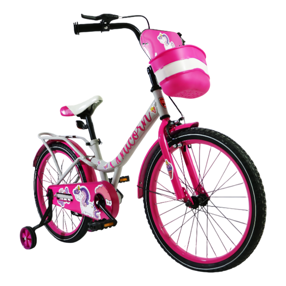 Bicicleta Infantil Minerva Rodada 20 TerraFit