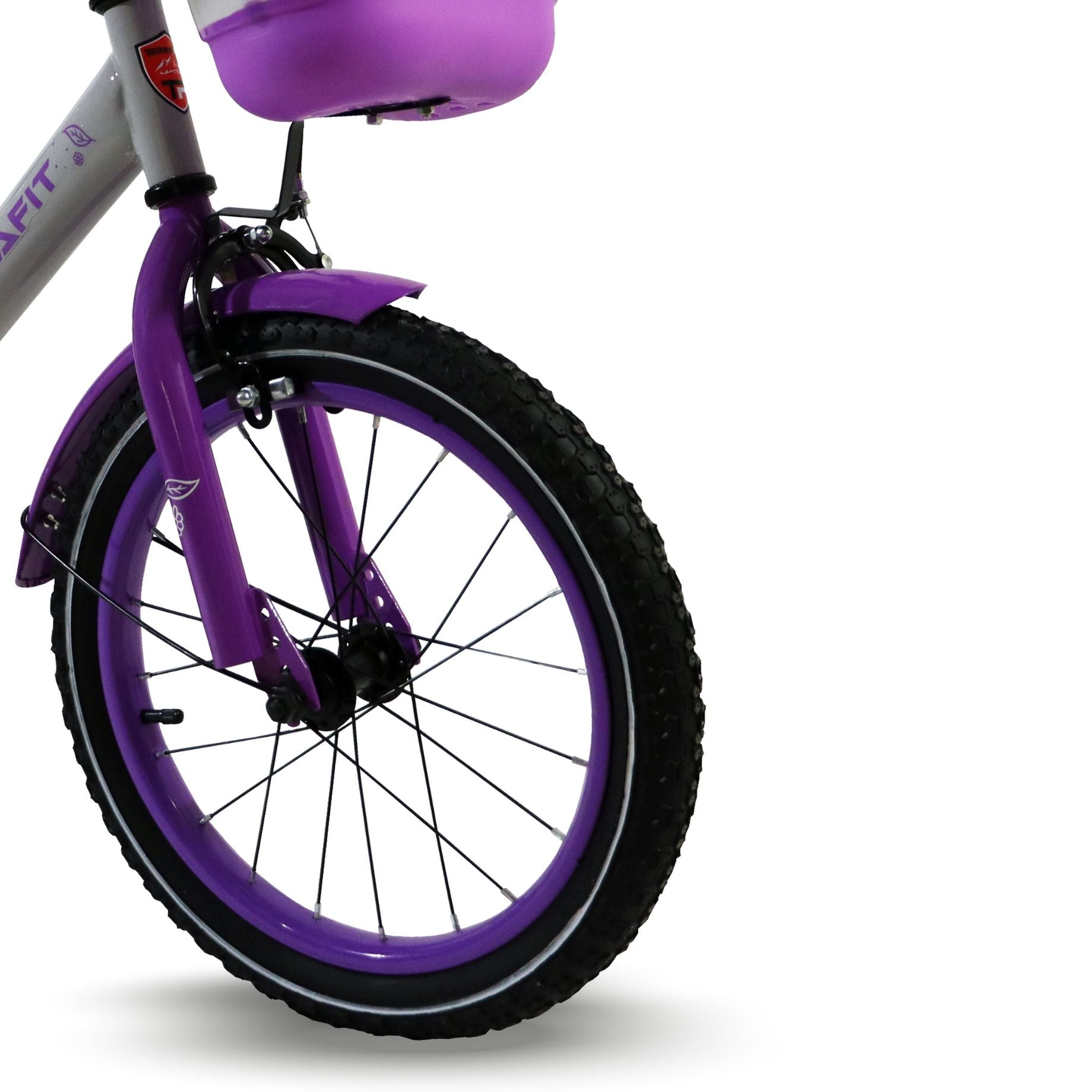 Bicicleta Infantil Minerva Rodada 20 TerraFit