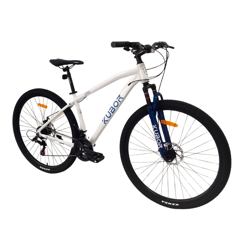 Bicicleta de Montaña ALPINE R29 21V
