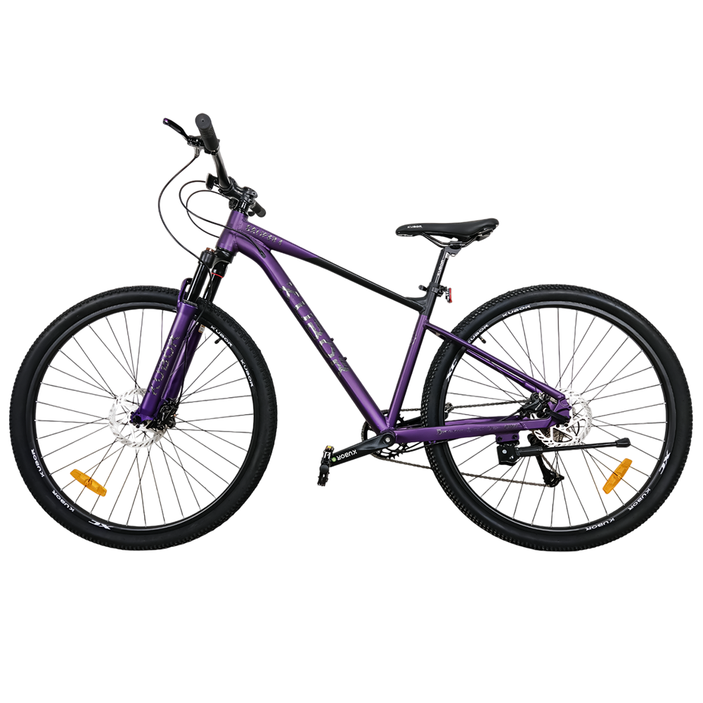 Bicicleta de Montaña Calipso 4 Rodada 29 9V