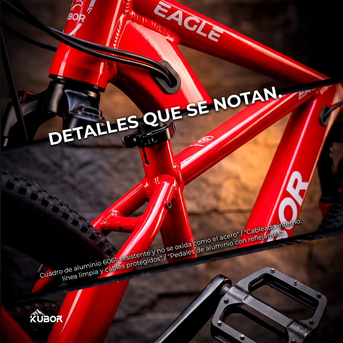 Bicicleta de Montaña Eagle R29 de 21V KUBOR