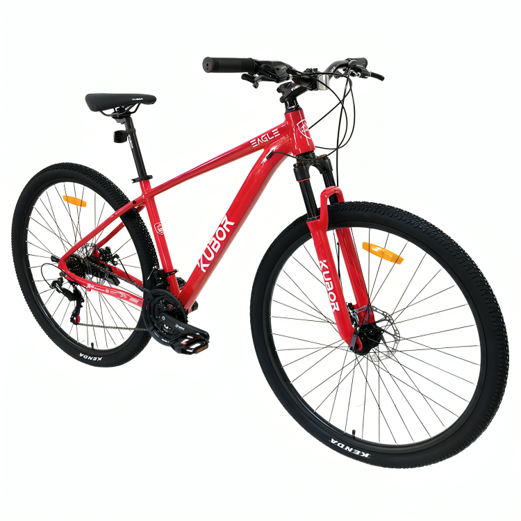 Bicicleta de Montaña Eagle R29 de 21V KUBOR