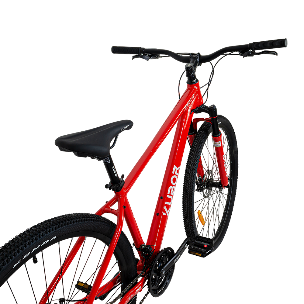 Bicicleta de Montaña Eagle R29 de 21V KUBOR