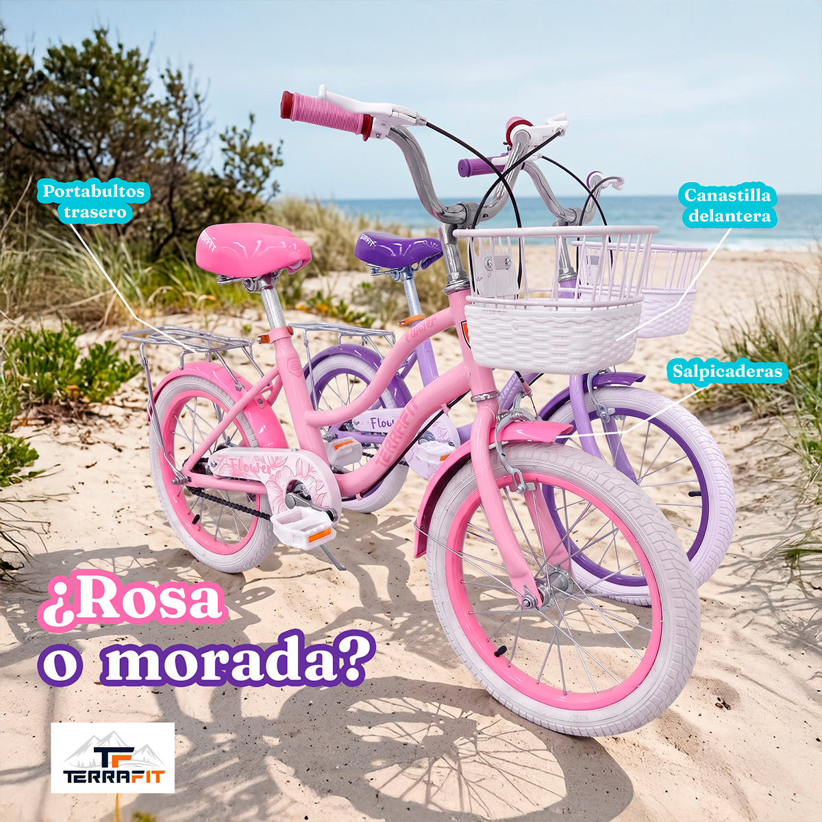 Bicicleta Infantil para Niña Flower R16 Terrafit