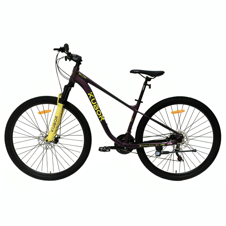 Bicicleta de Montaña Galaxy R29 de 21V KUBOR