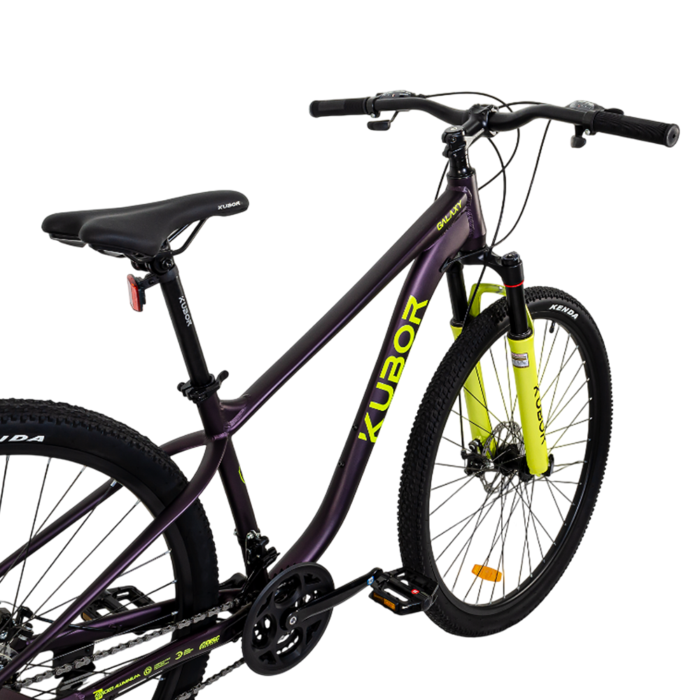 Bicicleta de Montaña Galaxy R29 de 21V KUBOR