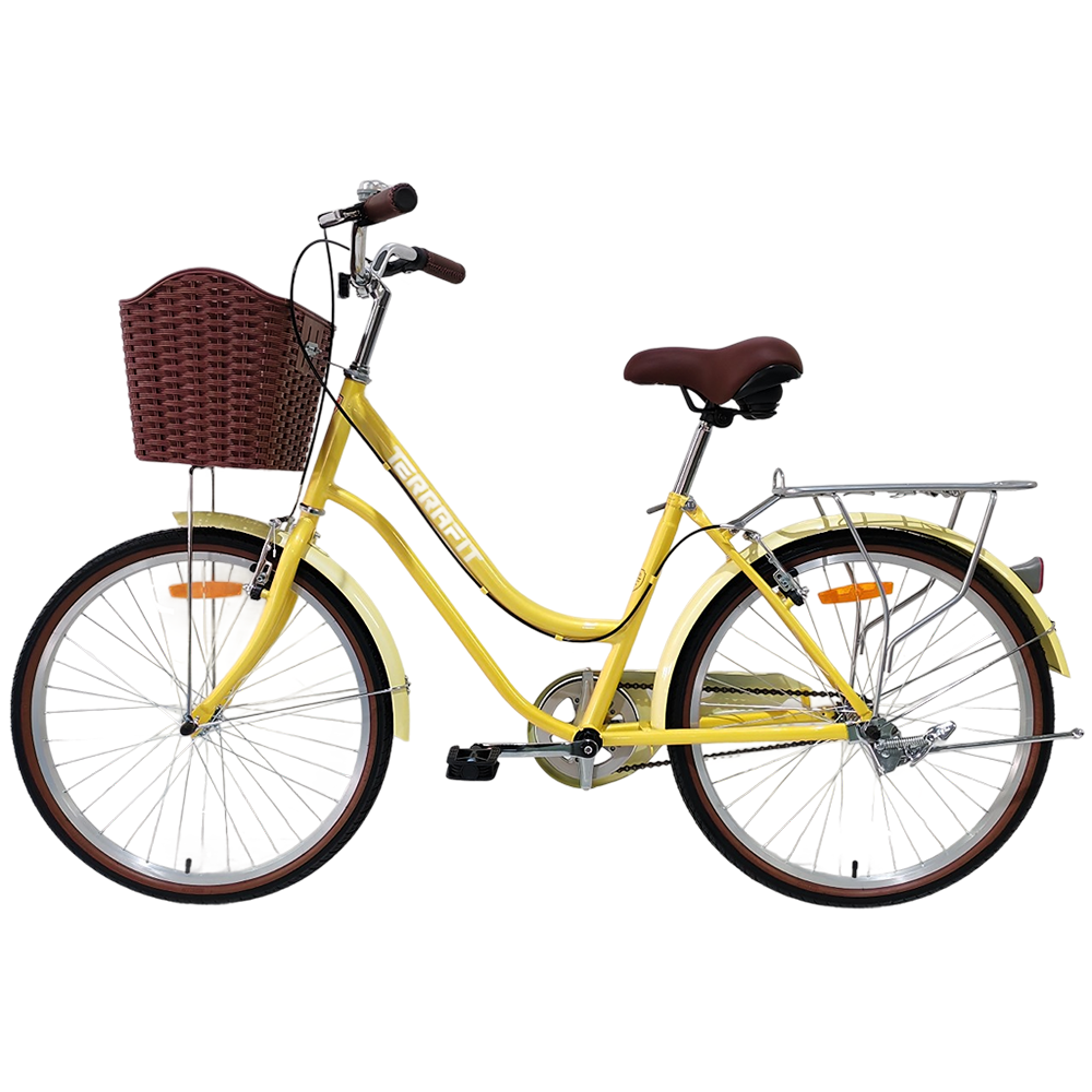 Bicicleta Vintage Niza R24 Terrafit