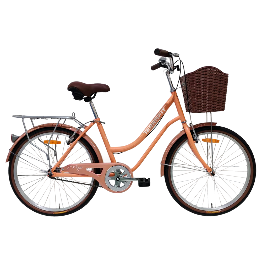 Bicicleta Vintage Niza R24 Terrafit