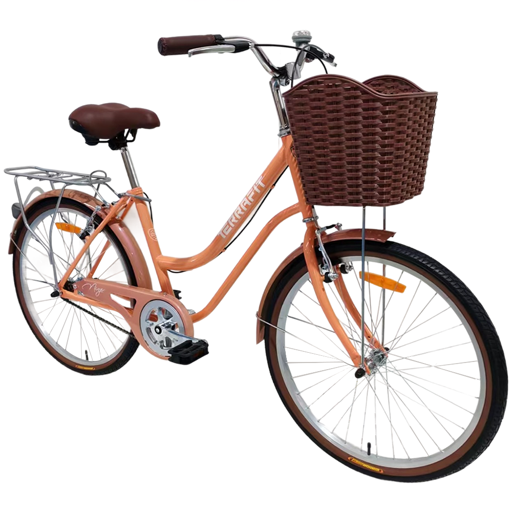 Bicicleta Vintage Niza R24 Terrafit