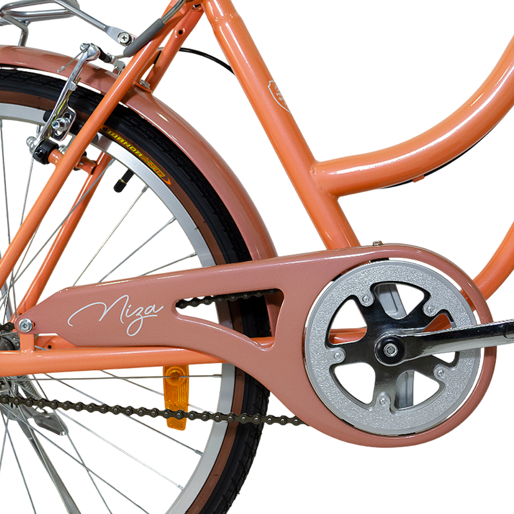 Bicicleta Vintage Niza R24 Terrafit