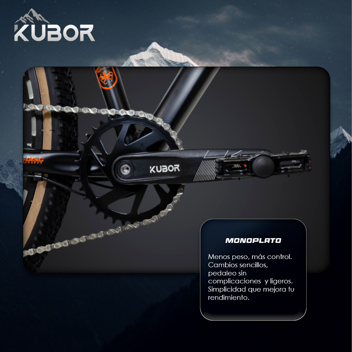 Bicicleta de Montaña Octopus R29 de 9V KUBOR