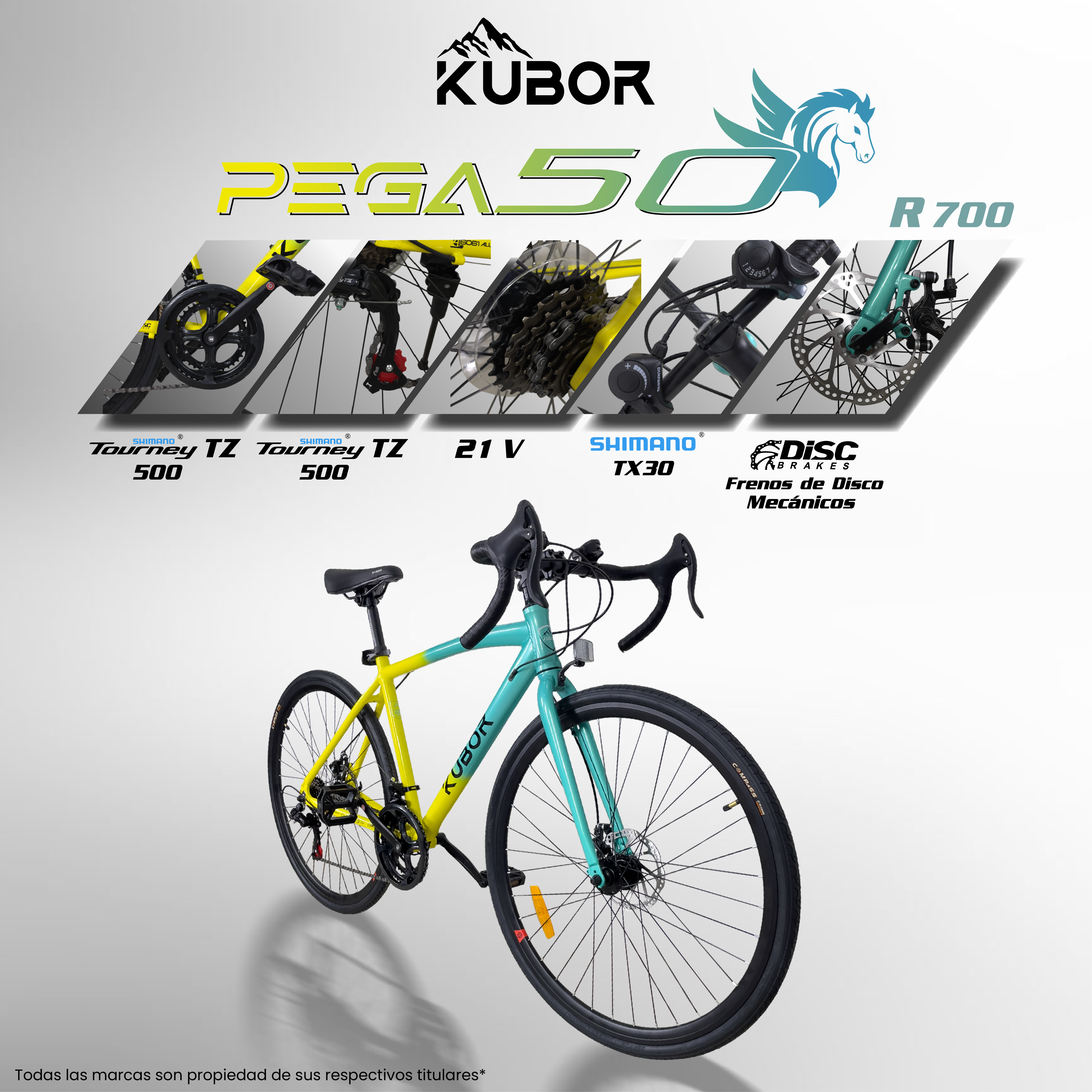 Bicicleta Ruta Pegaso50 Rodada 700 Aluminio Carreras