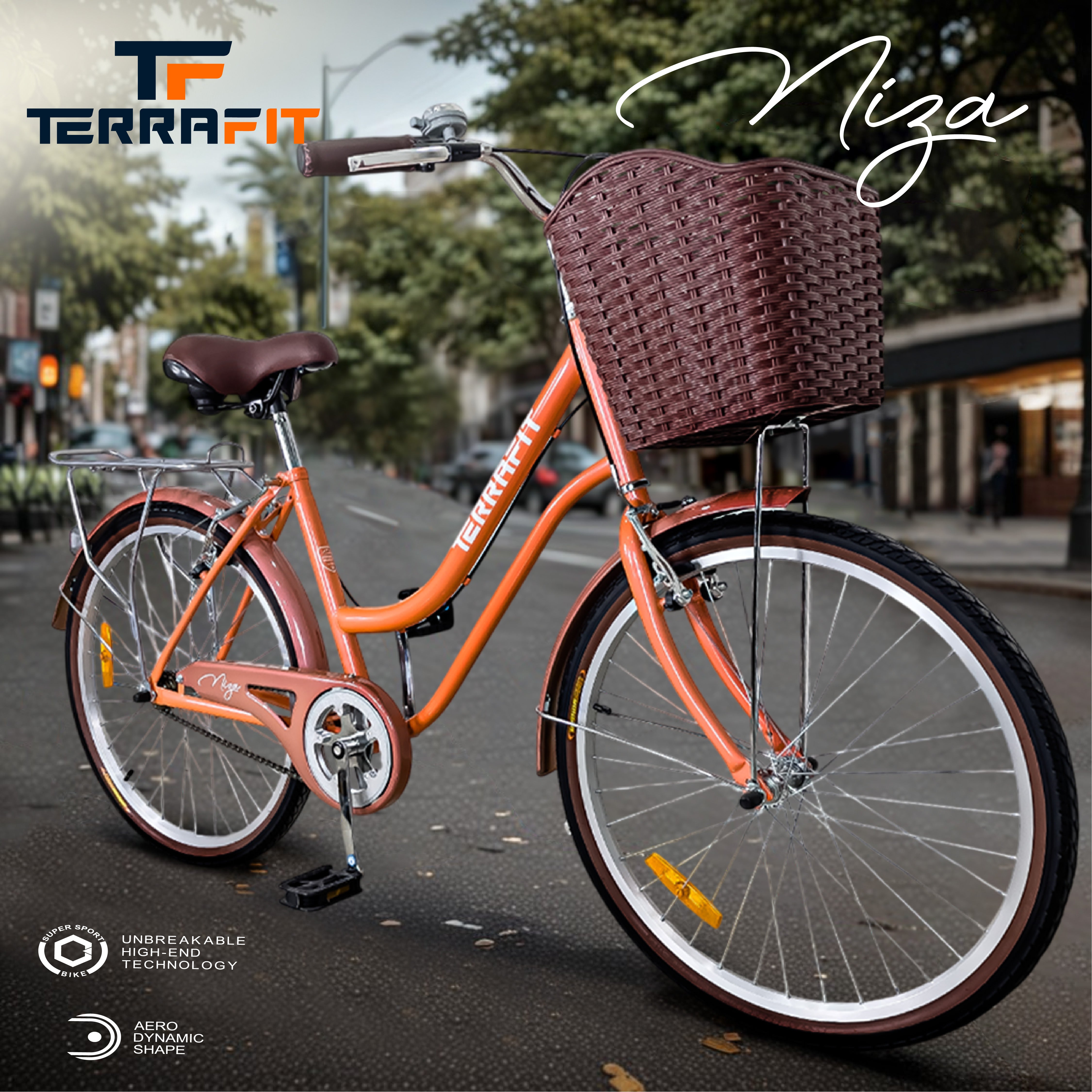 Bicicleta Vintage NIZA R24