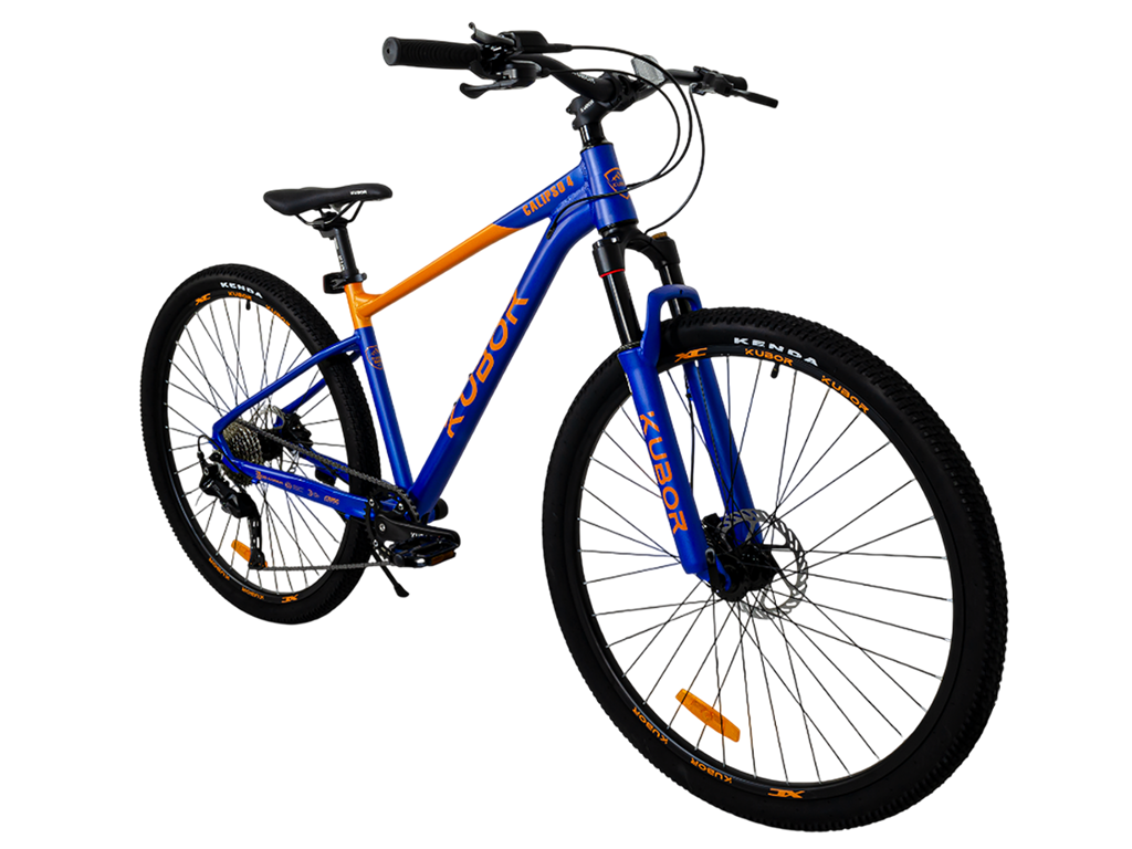 CALIPSO 4 R29 9V Bicicleta de Montaña