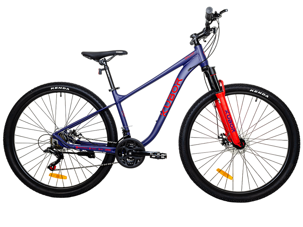 GALAXY R29 21V Bicicleta de Montaña