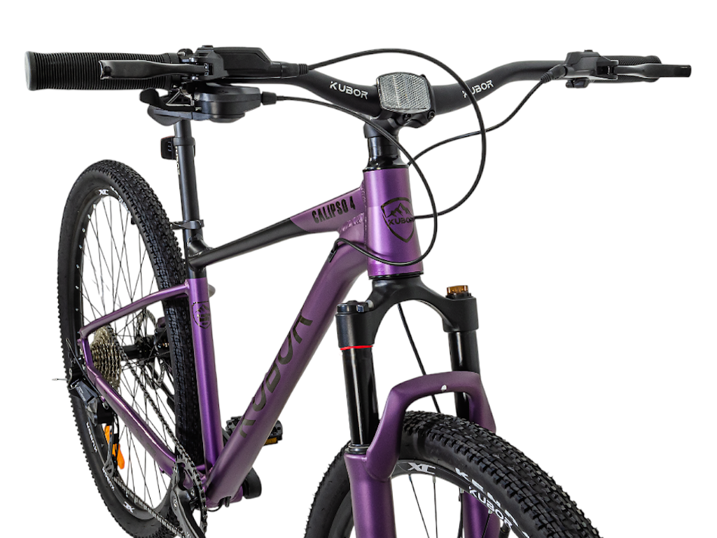 CALIPSO 4 R29 9V Bicicleta de Montaña