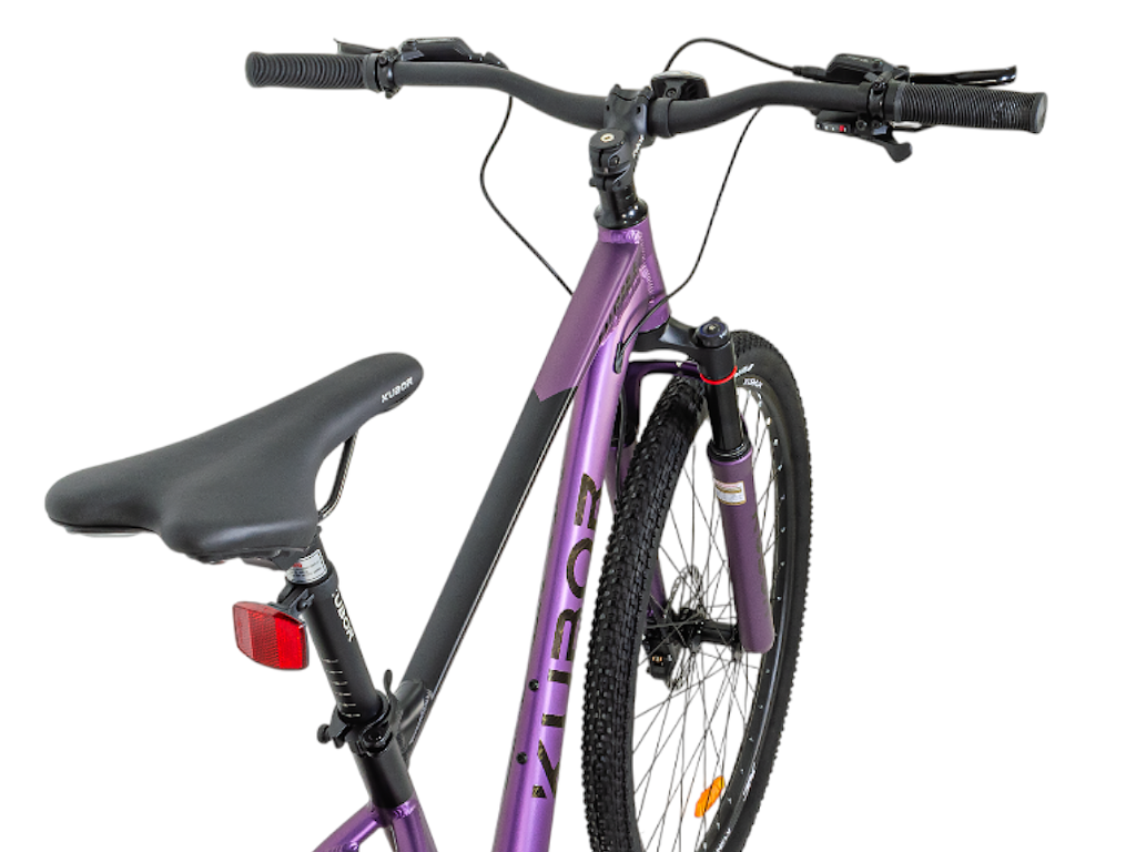 CALIPSO 4 R29 9V Bicicleta de Montaña