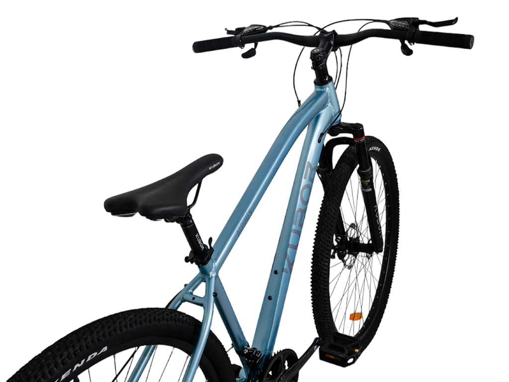 ALPINE5 R29 21V Bicicleta De Montaña