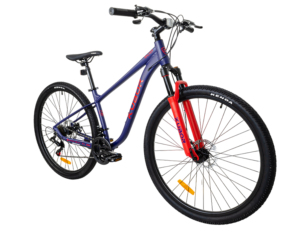 GALAXY R29 21V Bicicleta de Montaña
