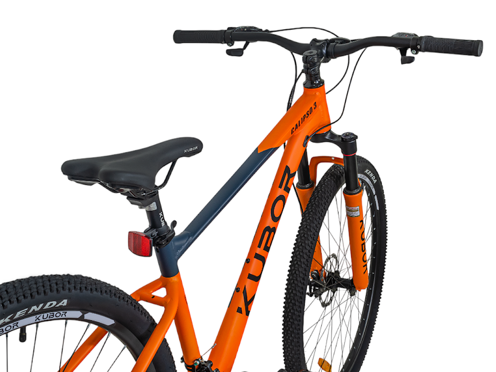 CALIPSO 3 R29 21V Bicicleta De Montaña