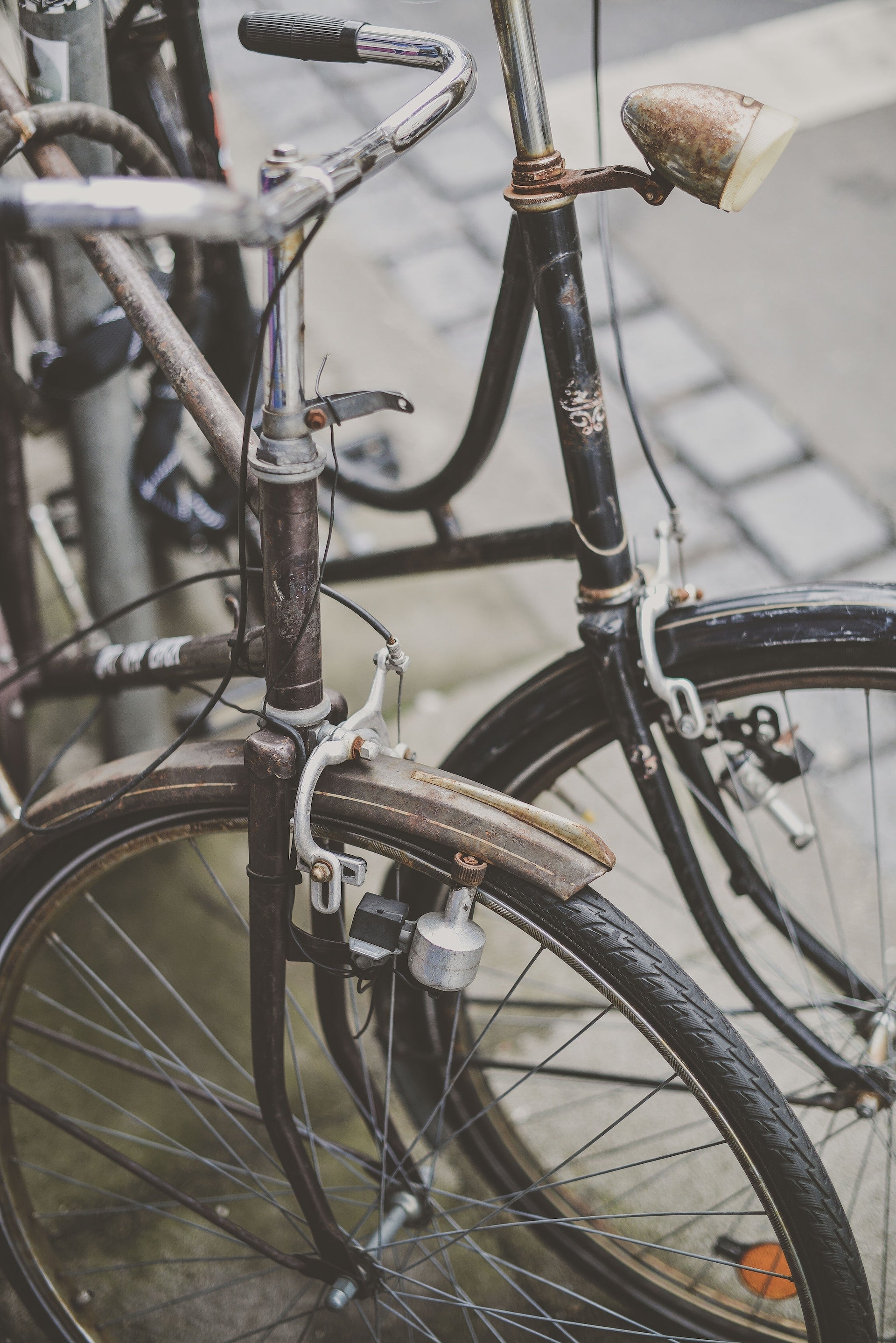 La invención de la bicicleta: Un viaje en el tiempo