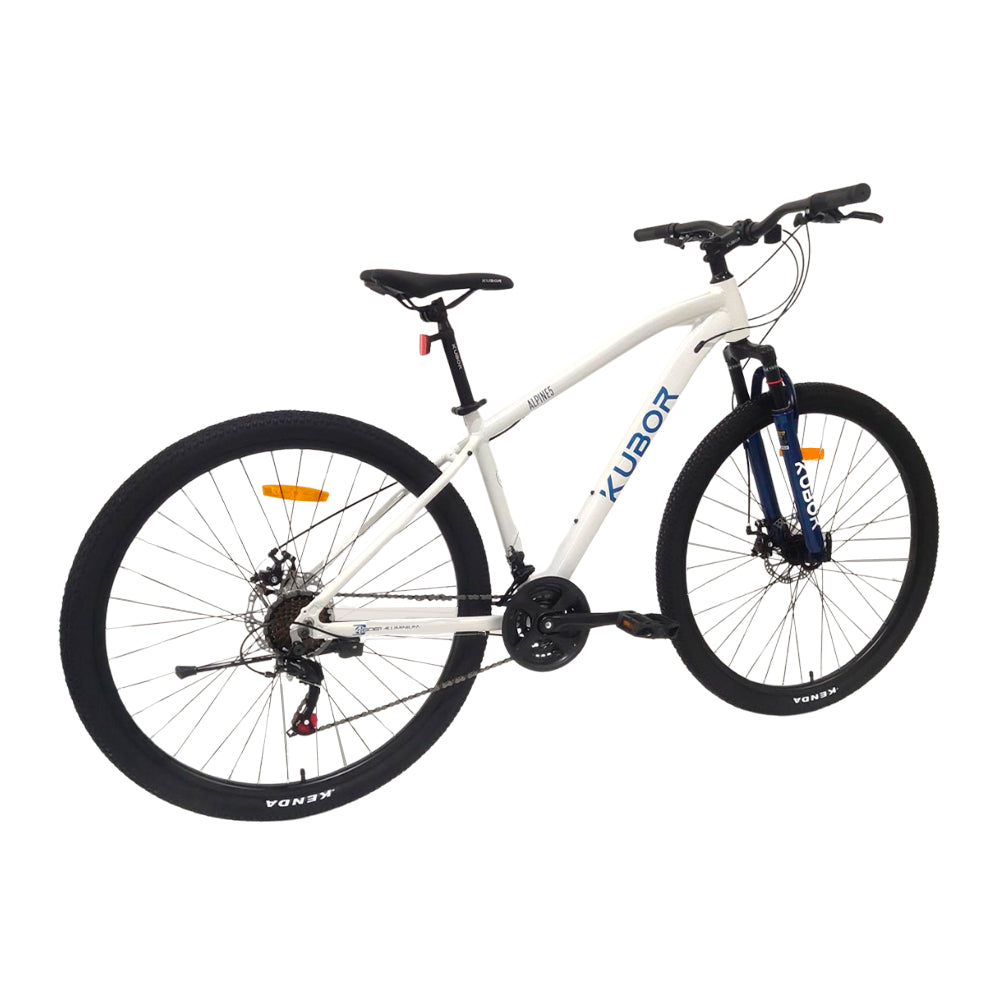 Bicicleta de Montaña ALPINE R29 21V