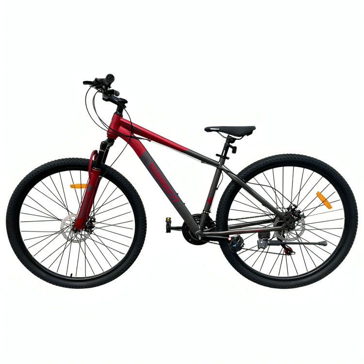 Bicicleta de Montaña Crow R29 de 21V Terrafit