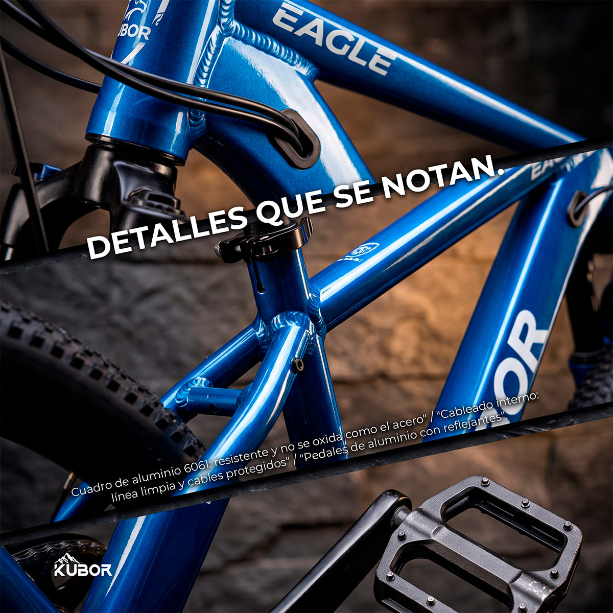 Bicicleta de Montaña Eagle R29 de 21V KUBOR