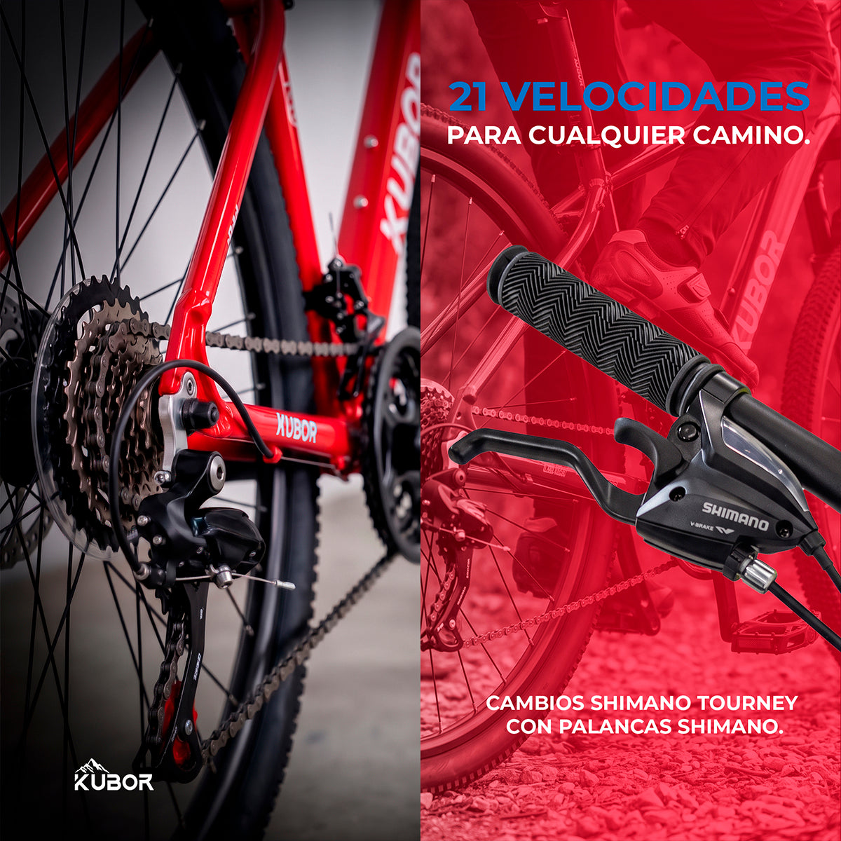 Bicicleta de Montaña Eagle R29 de 21V KUBOR