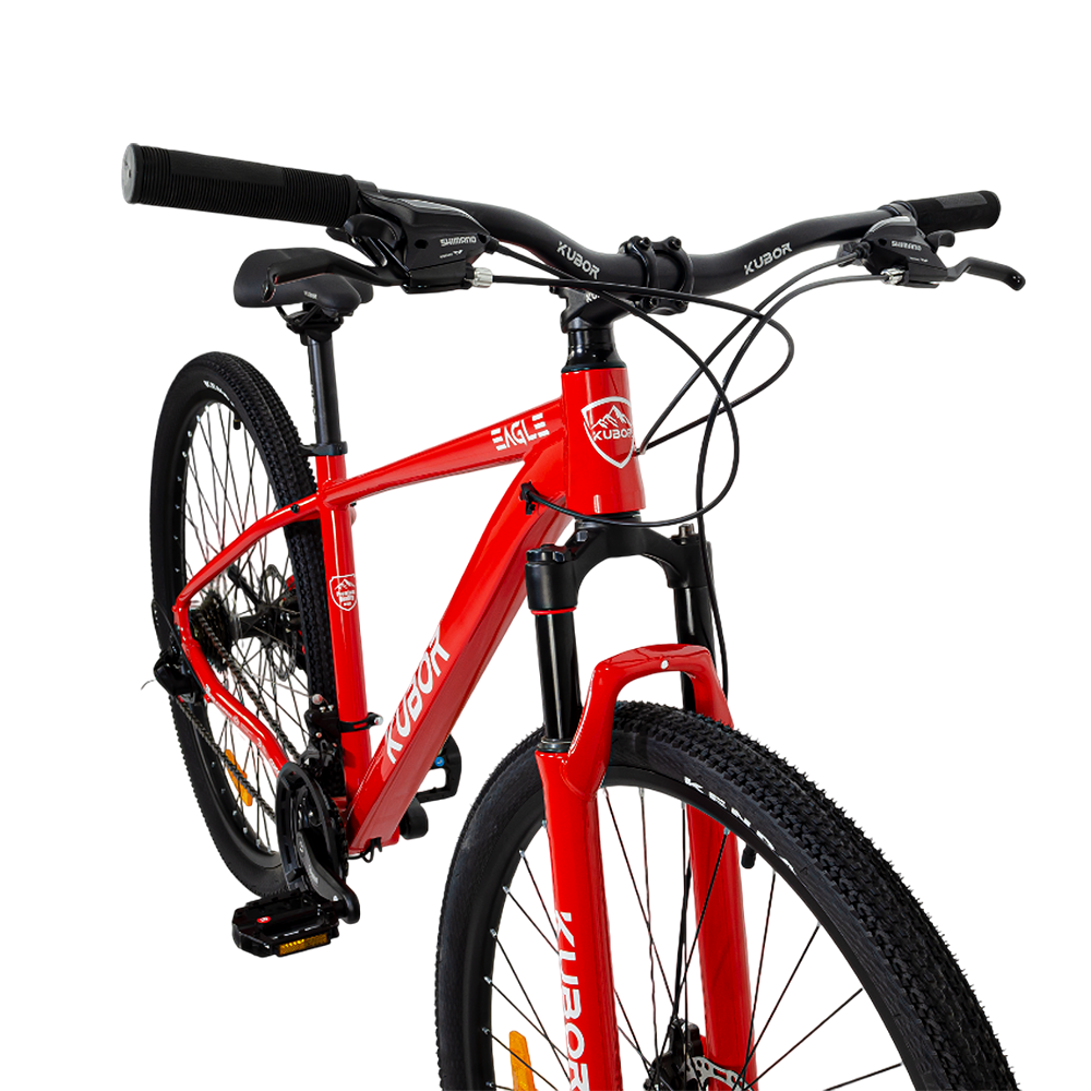 Bicicleta de Montaña Eagle R29 de 21V KUBOR