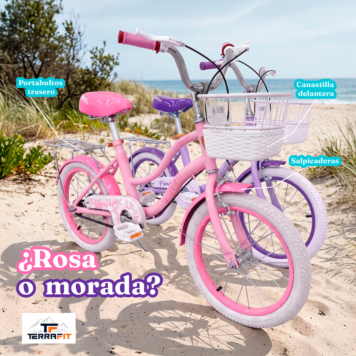 Bicicleta Infantil para Niña Flower R20 Terrafit