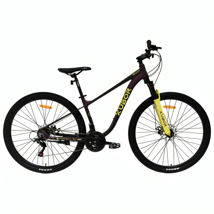 Bicicleta de Montaña Galaxy R29 de 21V KUBOR