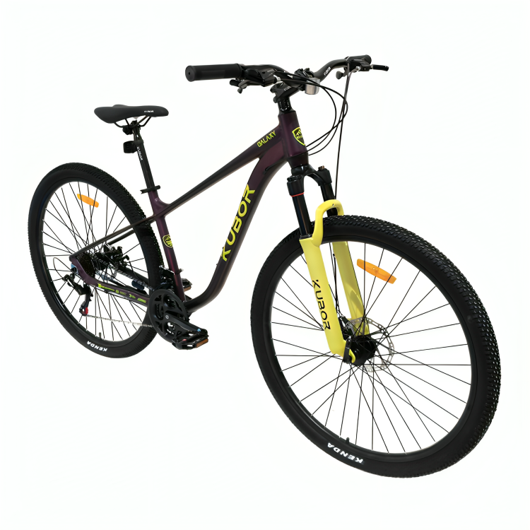 Bicicleta de Montaña Galaxy R29 de 21V KUBOR