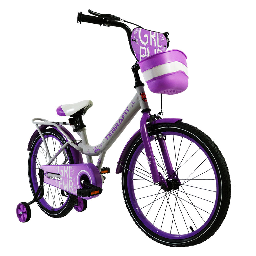Bicicleta Infantil Minerva Rodada 16 TerraFit