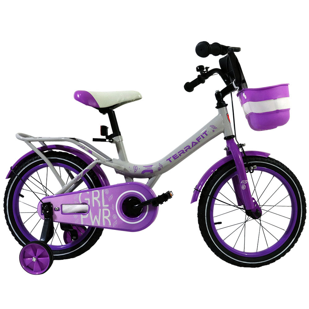 Bicicleta Infantil Minerva Rodada 16 TerraFit