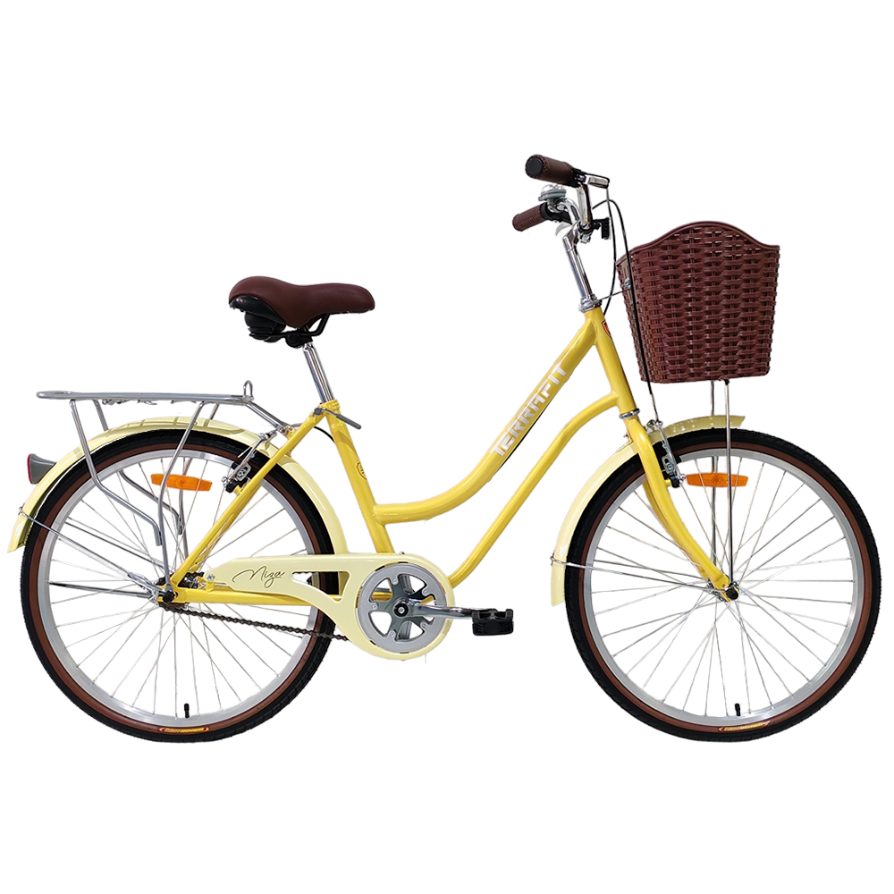 Bicicleta Vintage Niza R24 Terrafit