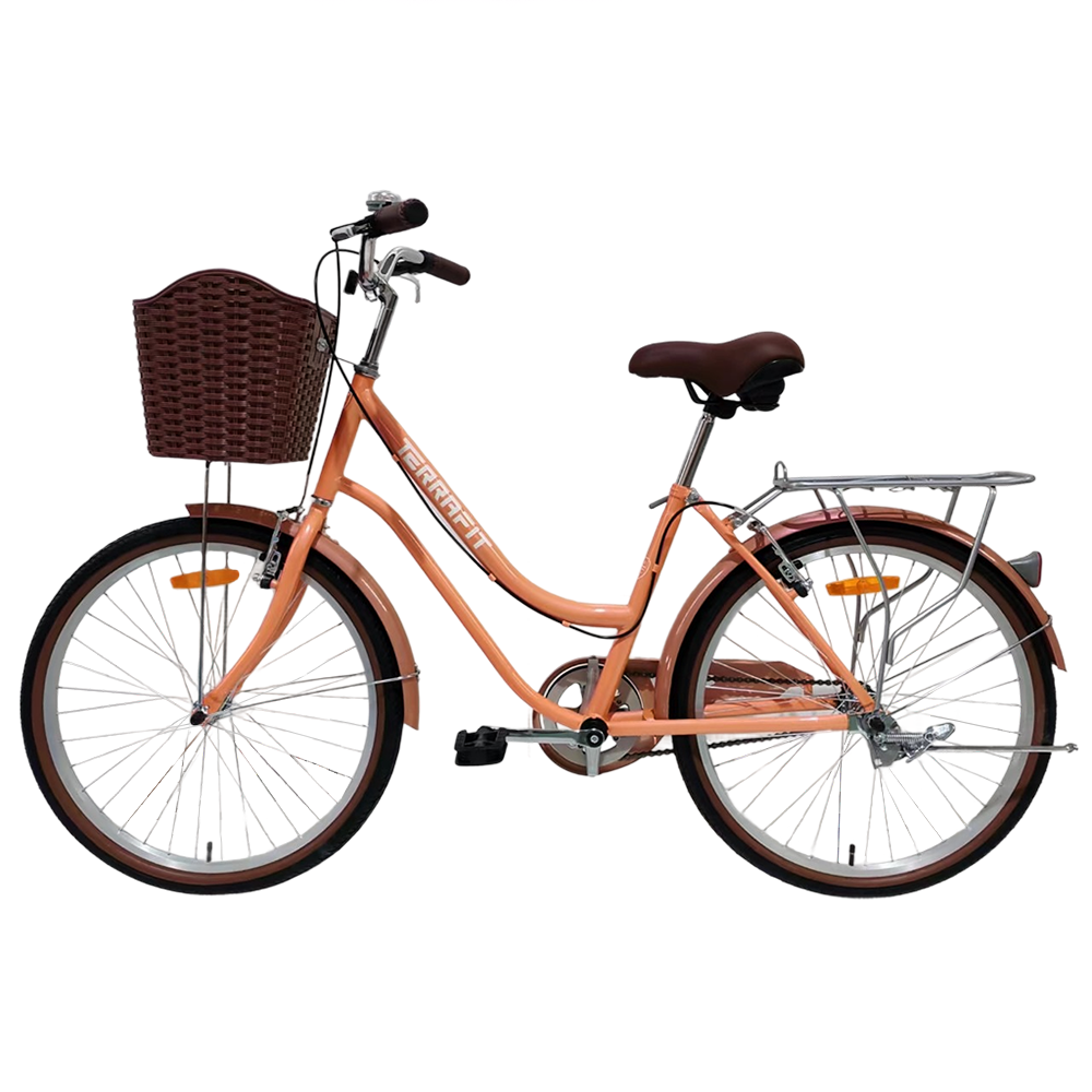 Bicicleta Vintage Niza R24 Terrafit