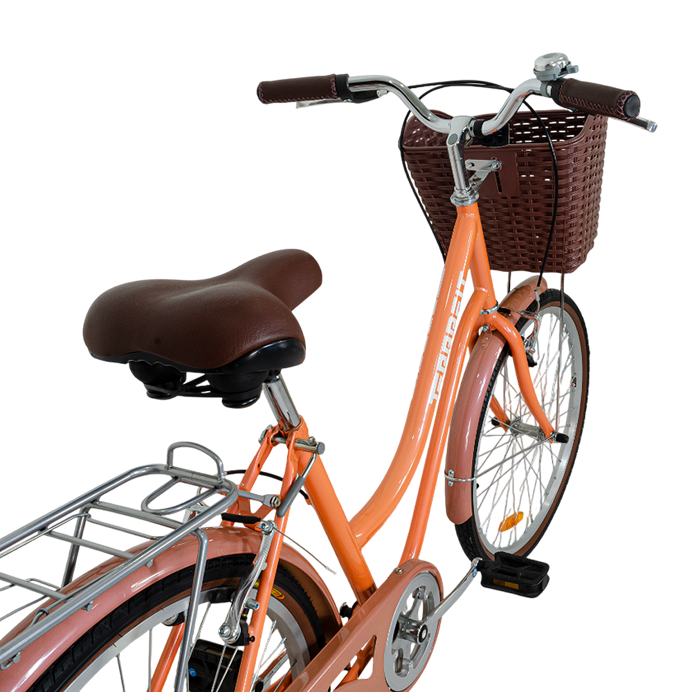 Bicicleta Vintage Niza R24 Terrafit