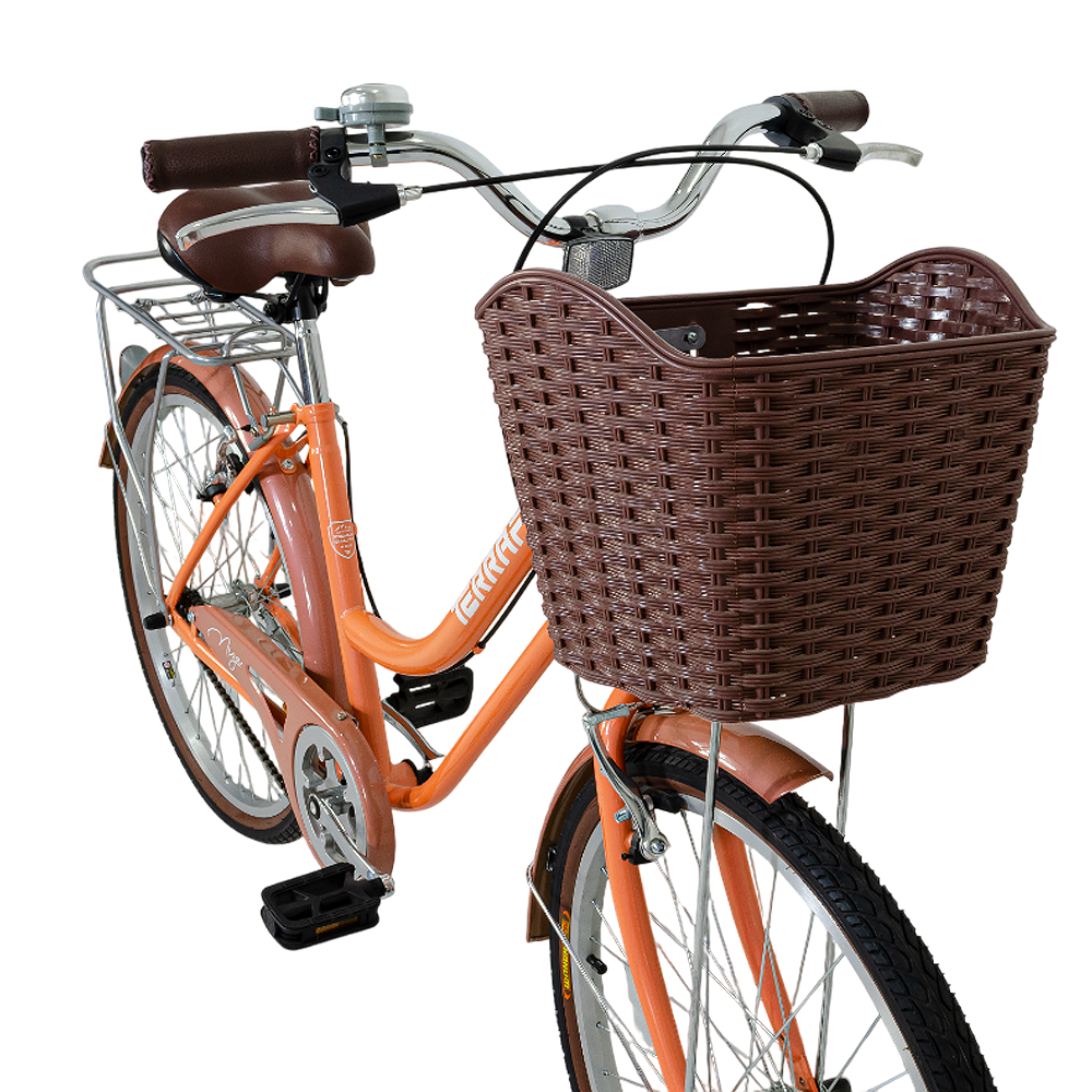 Bicicleta Vintage Niza R24 Terrafit