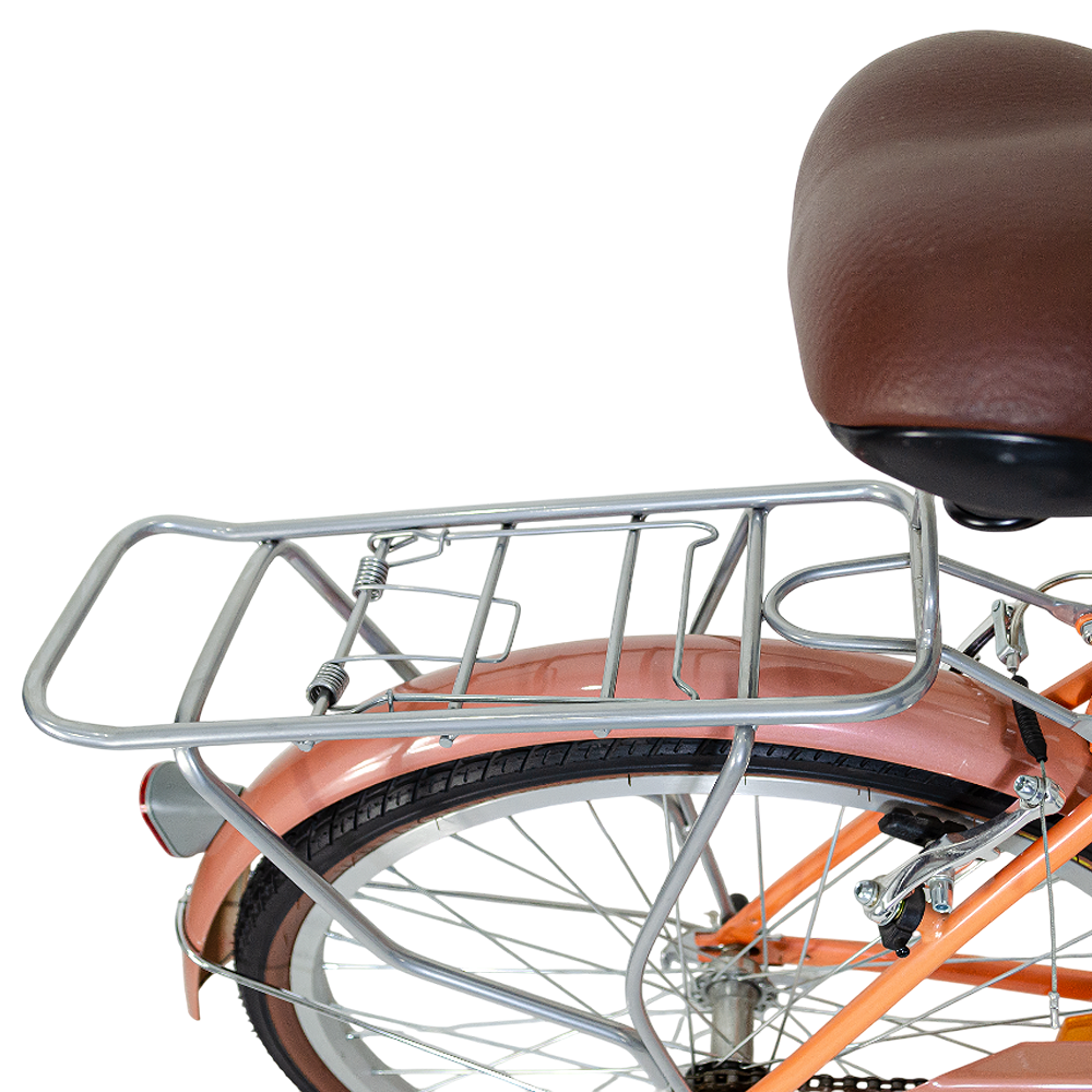 Bicicleta Vintage Niza R24 Terrafit
