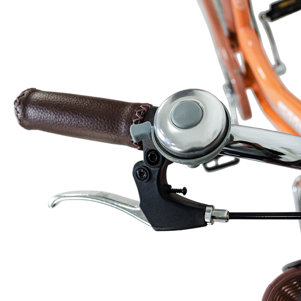 Bicicleta Vintage Niza R24 Terrafit
