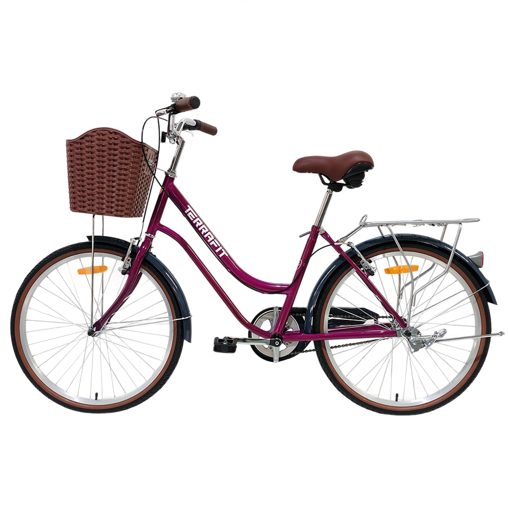Bicicleta Vintage Niza R24 Terrafit