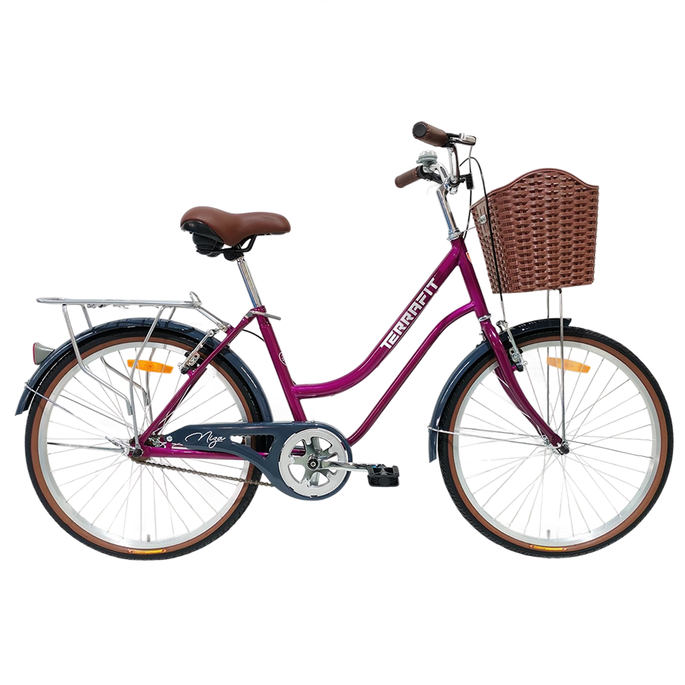 Bicicleta Vintage Niza R24 Terrafit