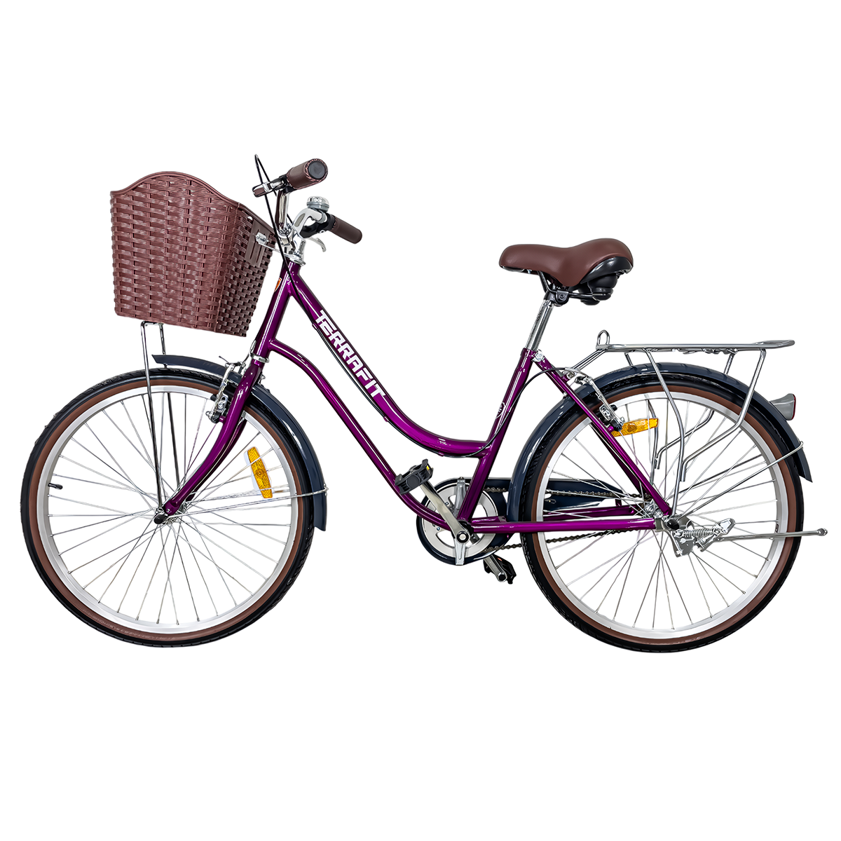 Bicicleta Vintage NIZA R24