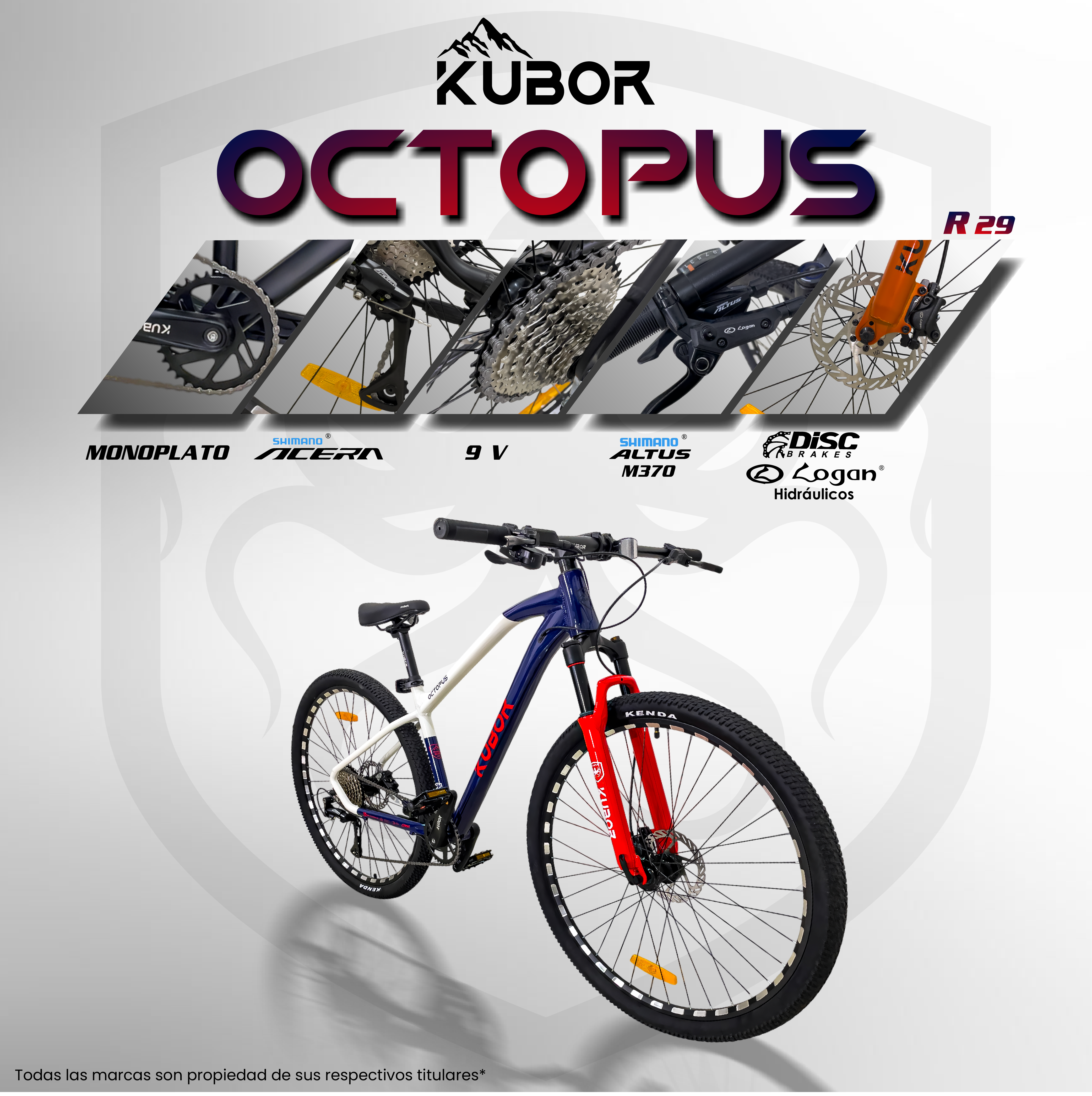 Bicicleta de Montaña OCTOPUS R29 9V
