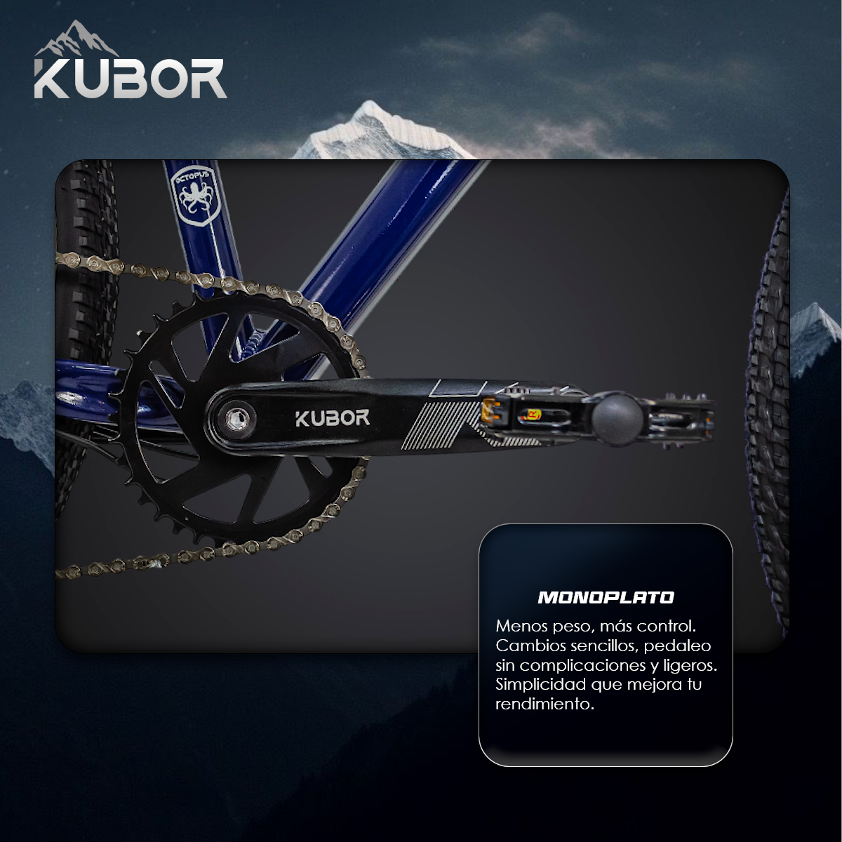 Bicicleta de Montaña Octopus R29 de 9V KUBOR