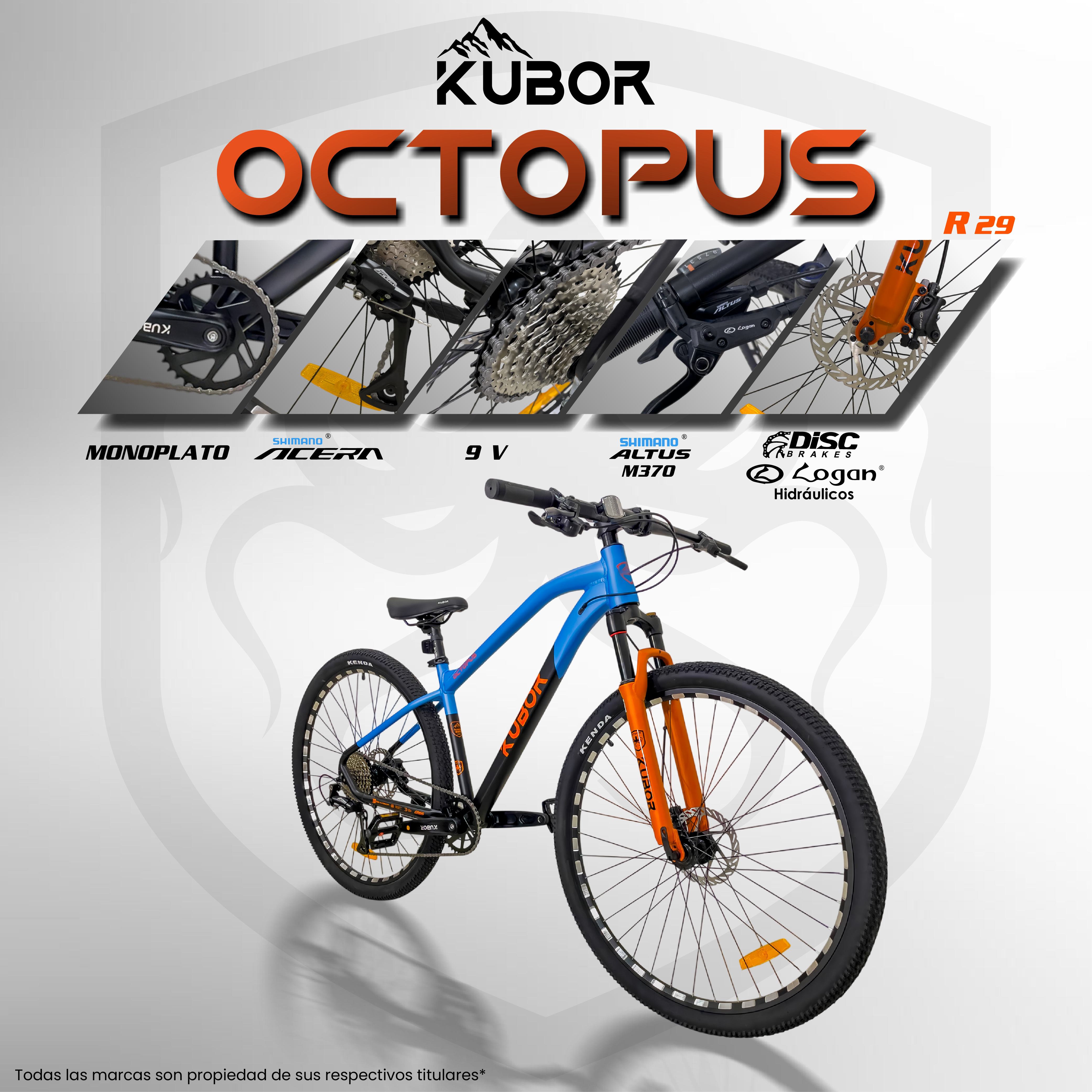 Bicicleta de Montaña OCTOPUS R29 9V