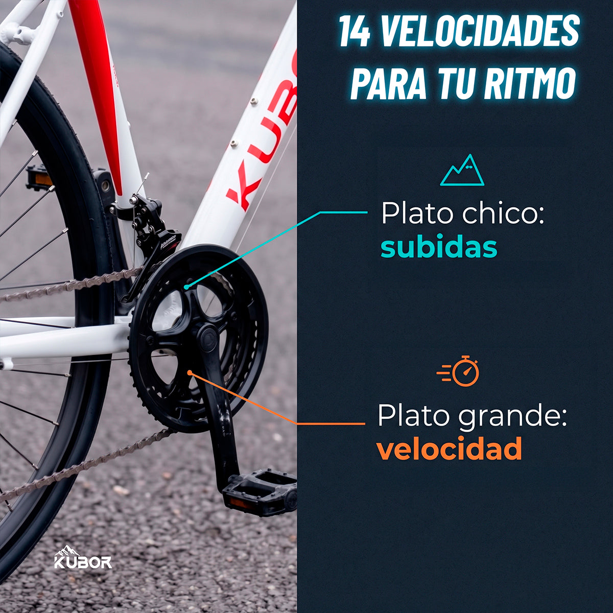Bicicleta de Ruta Pegaso R700 14V Kubor de Aluminio con Frenos de Disco