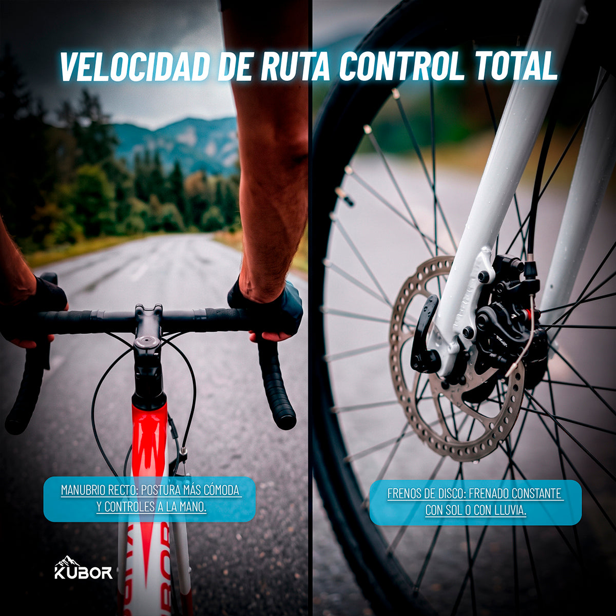 Bicicleta de Ruta Pegaso R700 14V Kubor de Aluminio con Frenos de Disco