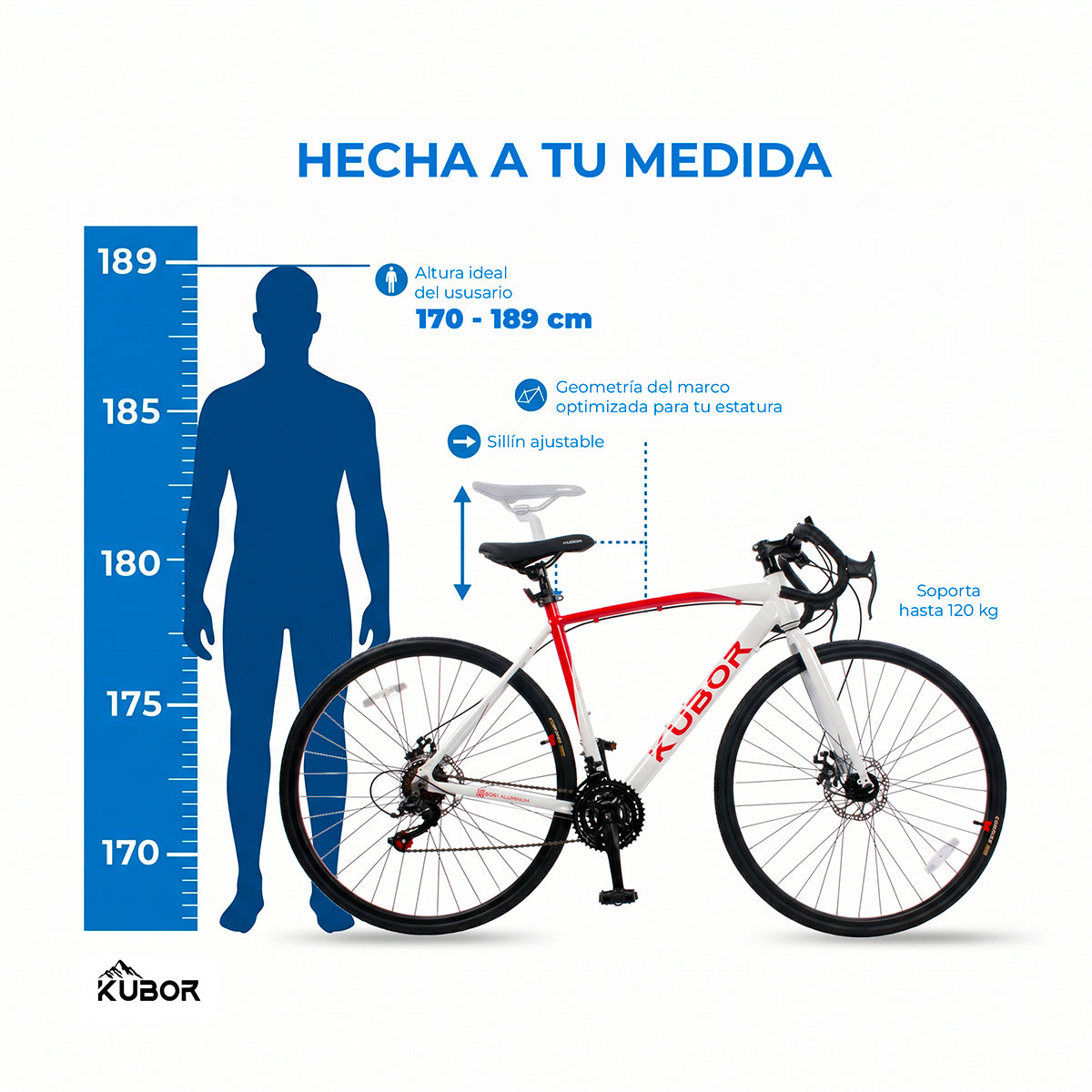 Bicicleta de Ruta Pegaso R700 14V Kubor de Aluminio con Frenos de Disco